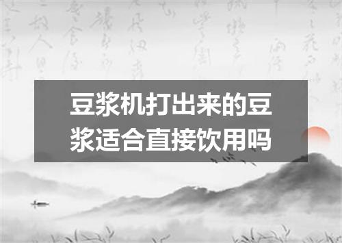 豆浆机打出来的豆浆适合直接饮用吗