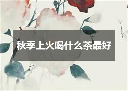 秋季上火喝什么茶最好
