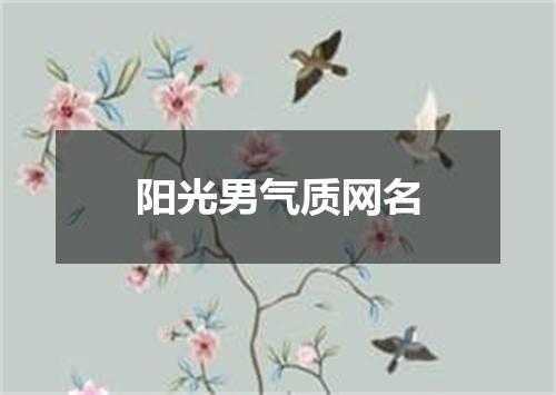 阳光男气质网名