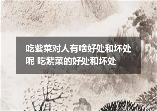 吃紫菜对人有啥好处和坏处呢 吃紫菜的好处和坏处