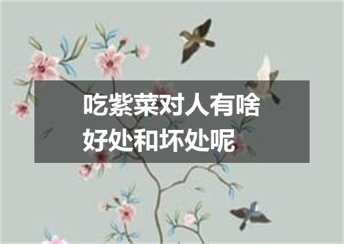 吃紫菜对人有啥好处和坏处呢