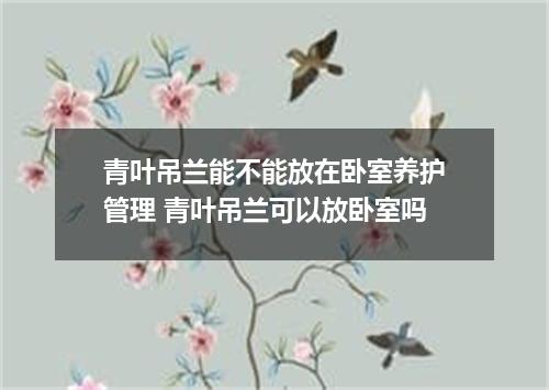 青叶吊兰能不能放在卧室养护管理 青叶吊兰可以放卧室吗