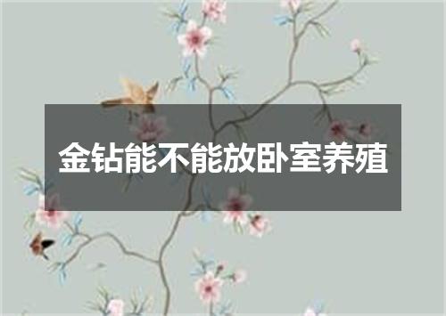 金钻能不能放卧室养殖