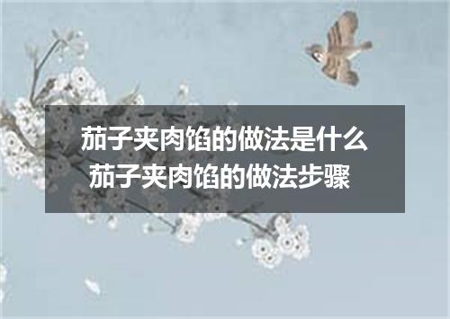 茄子夹肉馅的做法是什么 茄子夹肉馅的做法步骤