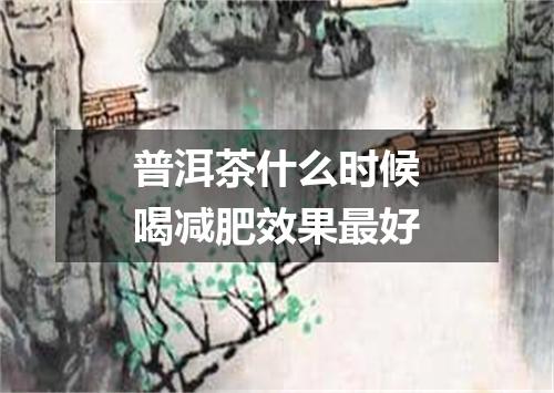 普洱茶什么时候喝减肥效果最好