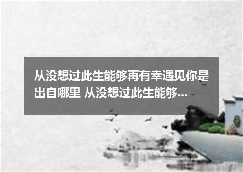 从没想过此生能够再有幸遇见你是出自哪里 从没想过此生能够再有幸遇见你是什么歌