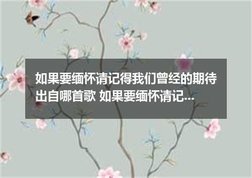 如果要缅怀请记得我们曾经的期待出自哪首歌 如果要缅怀请记得我们曾经的期待是什么歌