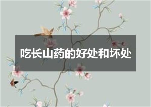 吃长山药的好处和坏处