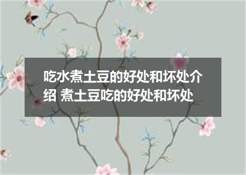 吃水煮土豆的好处和坏处介绍 煮土豆吃的好处和坏处