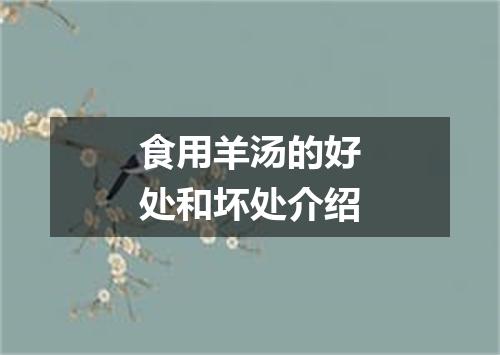 食用羊汤的好处和坏处介绍