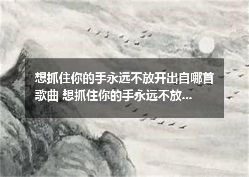 想抓住你的手永远不放开出自哪首歌曲 想抓住你的手永远不放开是什么歌