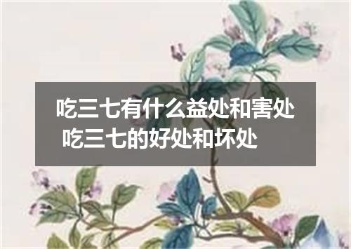 吃三七有什么益处和害处 吃三七的好处和坏处