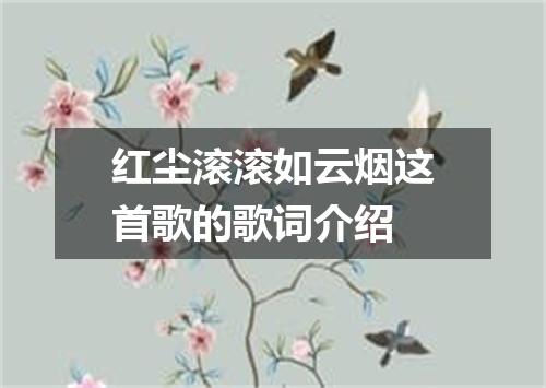 红尘滚滚如云烟这首歌的歌词介绍