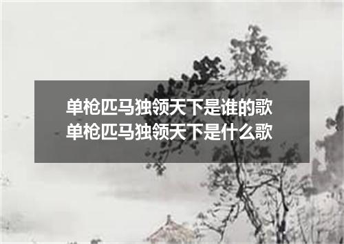 单枪匹马独领天下是谁的歌 单枪匹马独领天下是什么歌