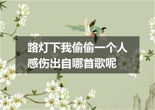 路灯下我偷偷一个人感伤出自哪首歌呢