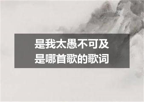 是我太愚不可及是哪首歌的歌词