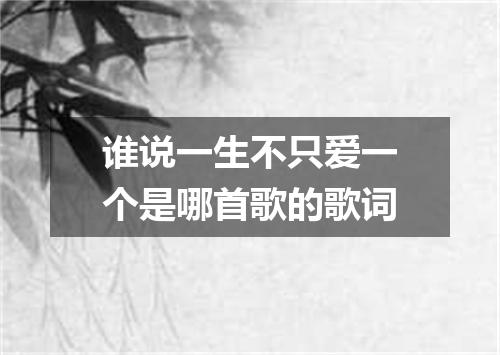 谁说一生不只爱一个是哪首歌的歌词