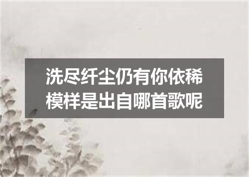 洗尽纤尘仍有你依稀模样是出自哪首歌呢