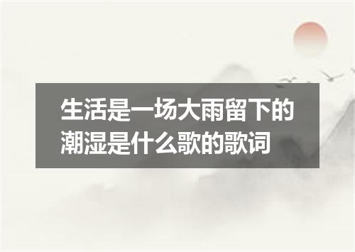 生活是一场大雨留下的潮湿是什么歌的歌词