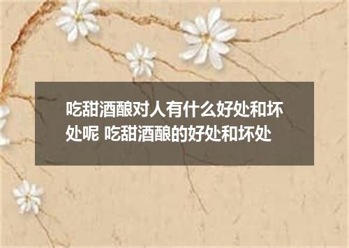 吃甜酒酿对人有什么好处和坏处呢 吃甜酒酿的好处和坏处