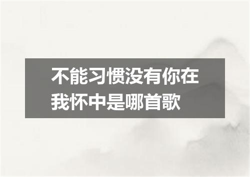 不能习惯没有你在我怀中是哪首歌
