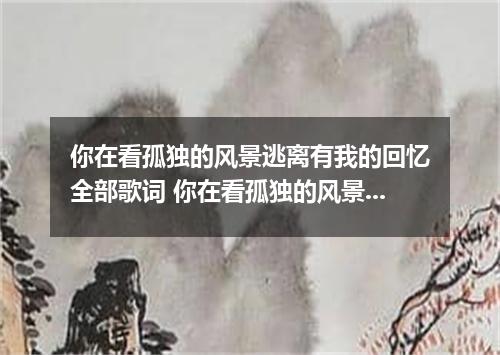 你在看孤独的风景逃离有我的回忆全部歌词 你在看孤独的风景逃离有我的回忆是什么歌