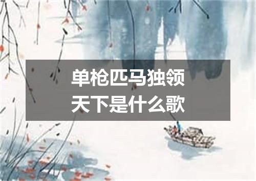 单枪匹马独领天下是什么歌