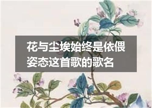 花与尘埃始终是依偎姿态这首歌的歌名