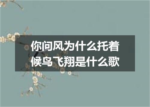 你问风为什么托着候鸟飞翔是什么歌