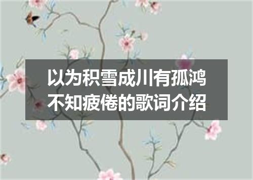 以为积雪成川有孤鸿不知疲倦的歌词介绍