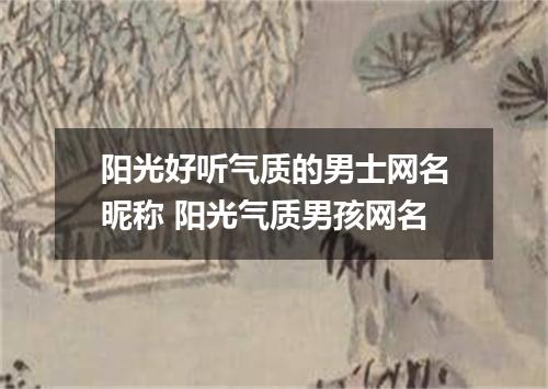 阳光好听气质的男士网名昵称 阳光气质男孩网名