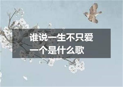 谁说一生不只爱一个是什么歌
