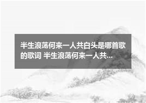 半生浪荡何来一人共白头是哪首歌的歌词 半生浪荡何来一人共白头是什么歌