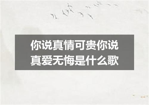 你说真情可贵你说真爱无悔是什么歌