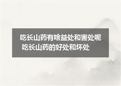 吃长山药有啥益处和害处呢 吃长山药的好处和坏处