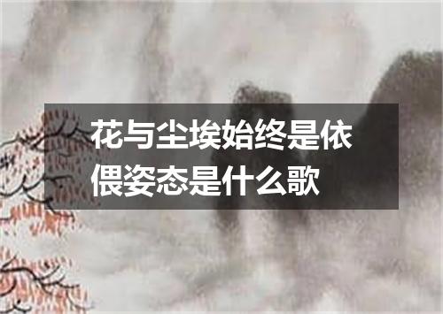 花与尘埃始终是依偎姿态是什么歌