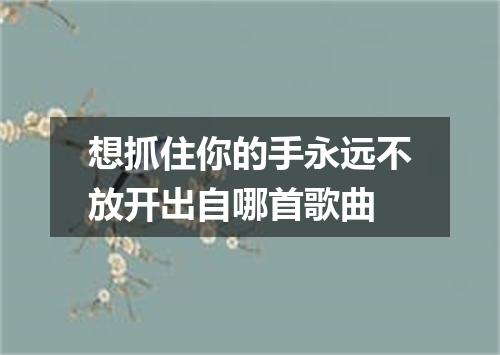 想抓住你的手永远不放开出自哪首歌曲