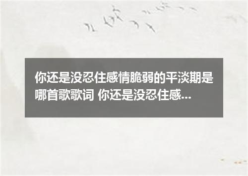 你还是没忍住感情脆弱的平淡期是哪首歌歌词 你还是没忍住感情脆弱的平淡期是什么歌