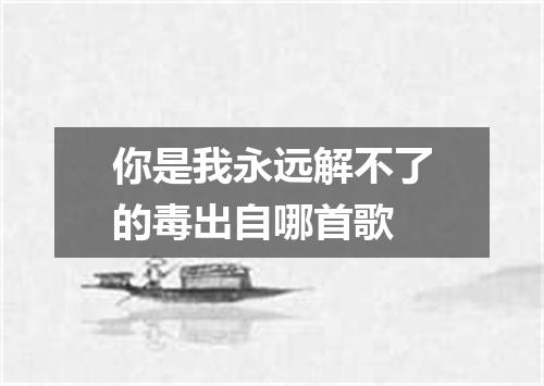 你是我永远解不了的毒出自哪首歌