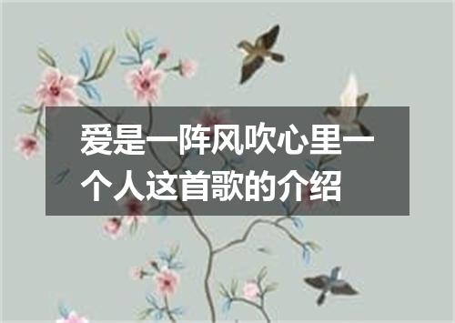 爱是一阵风吹心里一个人这首歌的介绍