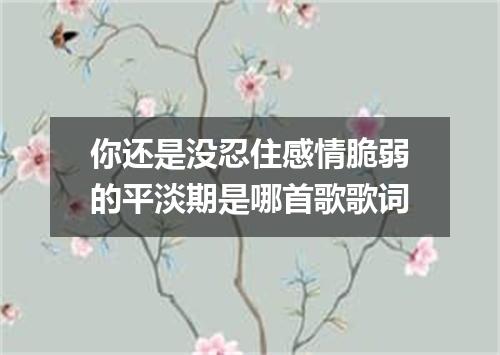 你还是没忍住感情脆弱的平淡期是哪首歌歌词