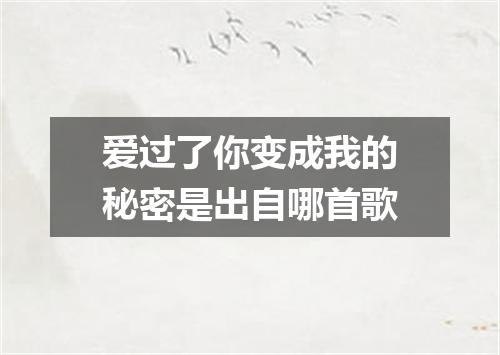 爱过了你变成我的秘密是出自哪首歌