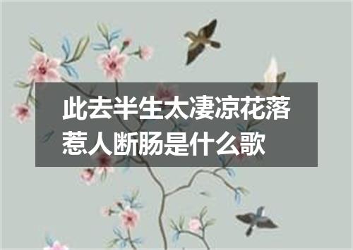 此去半生太凄凉花落惹人断肠是什么歌
