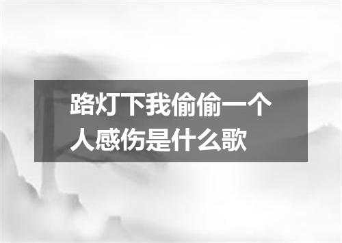 路灯下我偷偷一个人感伤是什么歌