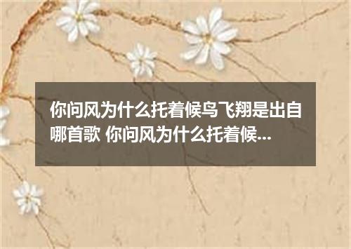 你问风为什么托着候鸟飞翔是出自哪首歌 你问风为什么托着候鸟飞翔是什么歌