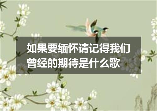 如果要缅怀请记得我们曾经的期待是什么歌