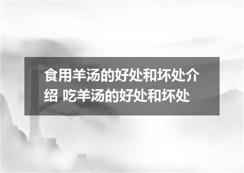 食用羊汤的好处和坏处介绍 吃羊汤的好处和坏处