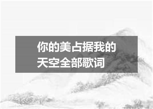 你的美占据我的天空全部歌词