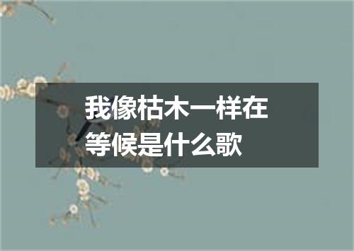 我像枯木一样在等候是什么歌