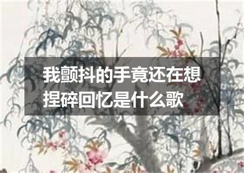 我颤抖的手竟还在想捏碎回忆是什么歌